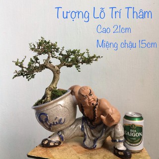 Chậu tượng bonsai Lỗ trí Thâm ôm vò