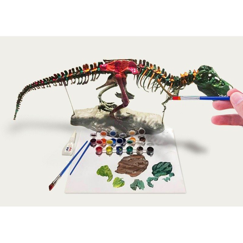 BỘ ĐỒ CHƠI LẮP RÁP MÔ HÌNH XƯƠNG KHỦNG LONG T-REX KÈM MÀU VẼ