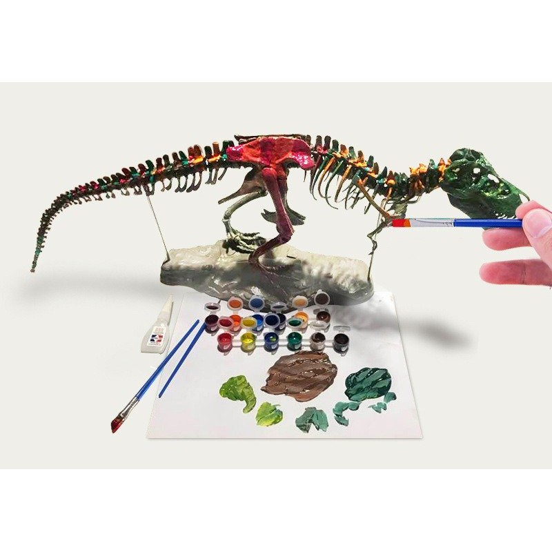 BỘ KIT LẮP RÁP MÔ HÌNH XƯƠNG KHỦNG LONG T-REX (4D ASSEMBLED TRIANGLE DRAGON FOSSIL DINOSAUR SKELETON MODEL)