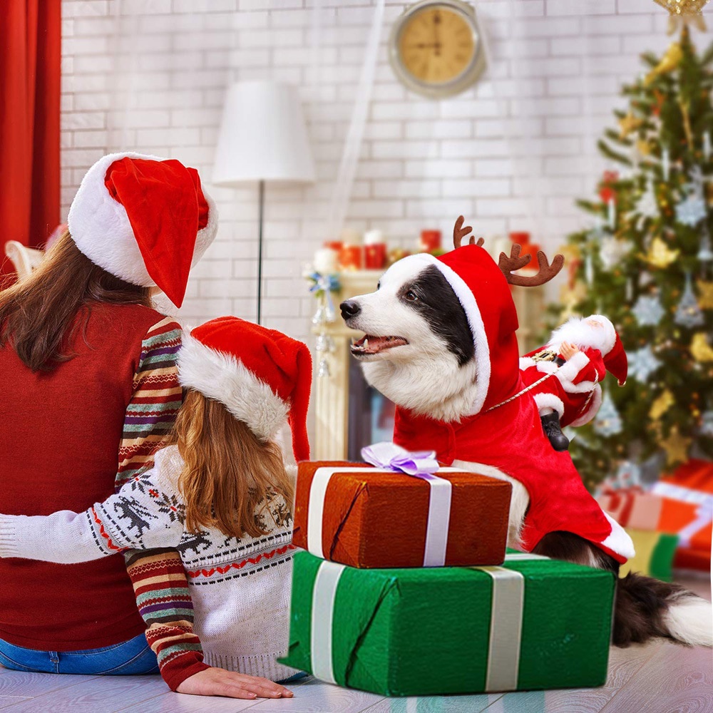 Thú cưng Quần áo Giáng sinh cho Chó lớn Nhỏ Trang phục Ông già Noel Cưỡi Quần áo Mèo Giáng sinh