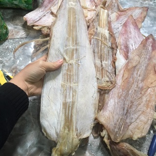 free ship 1kg mực câu size lớn 18-22 con