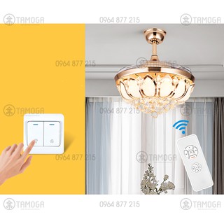 QUẠT TRẦN CÓ ĐÈN ĐIỆN QUANG DQ 8015