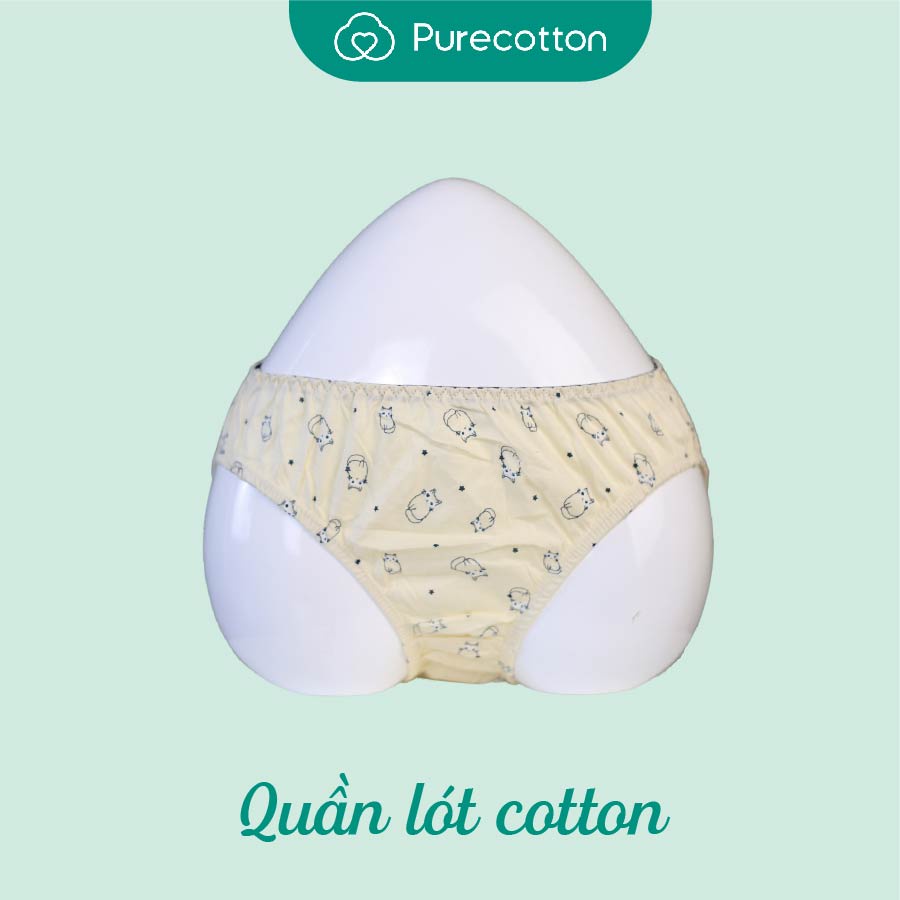 Quần lót bé gái Purecotton cho bé gái mới lớn chất liệu cotton PC084