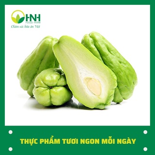 [CHỈ GIAO HÀ NỘI] Su su sạch ngon trợ giá mùa dịch - HNH Food Farm