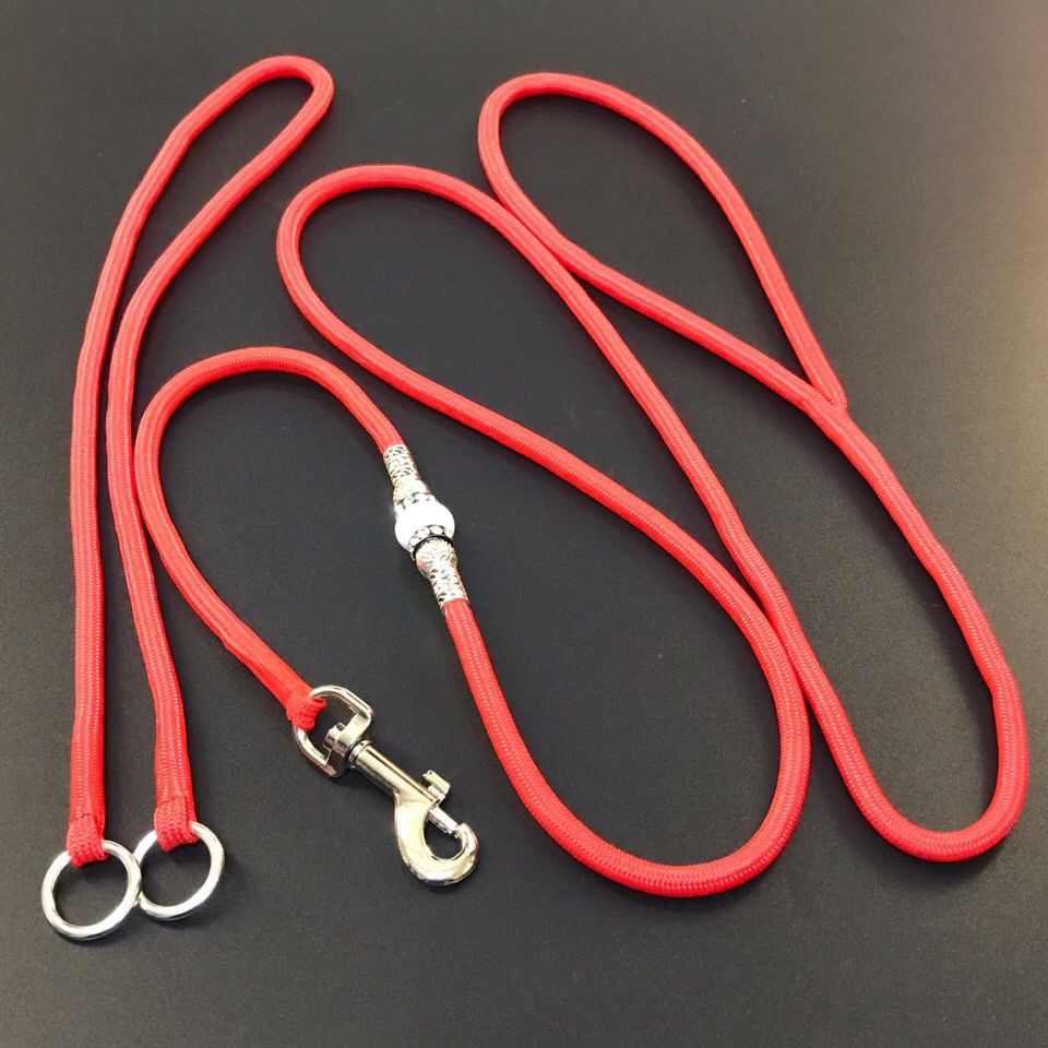 dog leash p-chain thi đấu chuyên nghiệp cấp độ dây kéo xích vật nuôi p-wire vòng cổ con chó có thể thu vào nylon