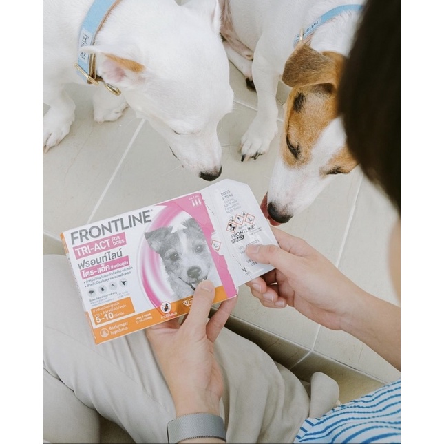 Frontline Tri-act nhỏ gáy cho chó bảo vệ cún cưng khỏi ve rận, bọ chét , ruồi muỗi