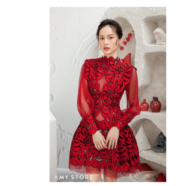 Đầm ren chữ A phối lưới dài tay( kèm ảnh thật)
