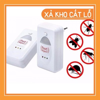 [FREE SHIP] Máy đuổi côn trùng Pest Reject [XẢ KHO HOT]