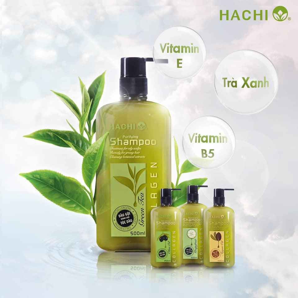 Dầu gội đầu ARGAN Hachi dành cho tóc hư tổn khô sơ  Cặp dầu gội xả Dầu Gội Phục Hồi Tóc Khô Và Hử Tổn ARGAN