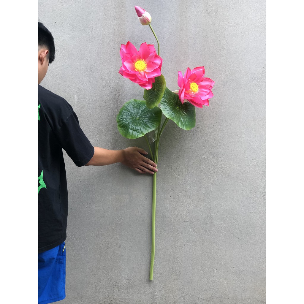 Sen lụa cao cấp 2 hoa, 1 nụ, 3 lá cao 1,5m hàng chuẩn đẹp loại 1