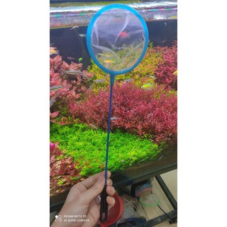 Vợt Vớt Cá lưới lỗ hình tròn, hình vuông