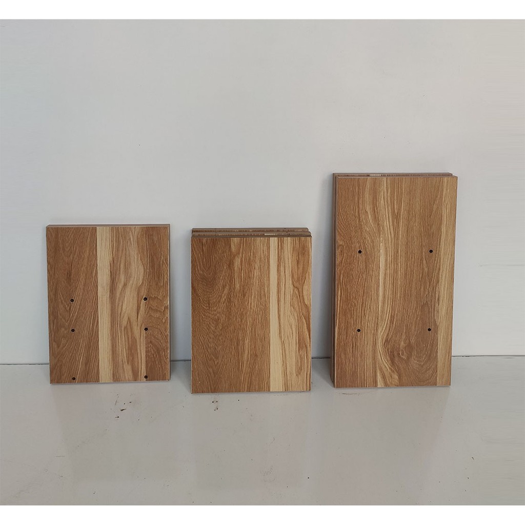 ⛔MIỄN PHÍ VẬN CHUYỂN⛔Kệ Sách Để Bàn 2 Tầng Lắp Ghép Gỗ MDF Nhập Khẩu | BigBuy360 - bigbuy360.vn