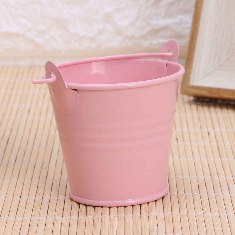 Chậu Trồng Cây Mini Bằng Kim Loại Trang Trí Nhà Cửa / Văn Phòng