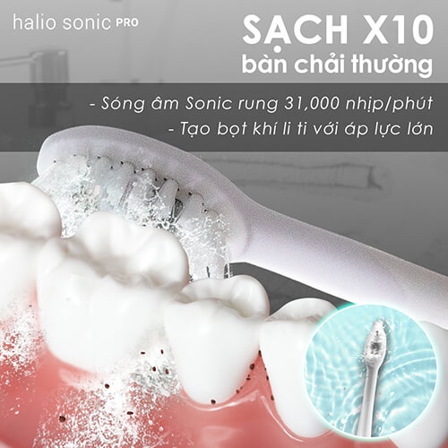 [Mã COSLXT5 giảm 10% đơn 600K] Combo Bàn chải điện Halio Sonic Whitening Toothbrush - White và 2 Đầu bàn chải thay thế