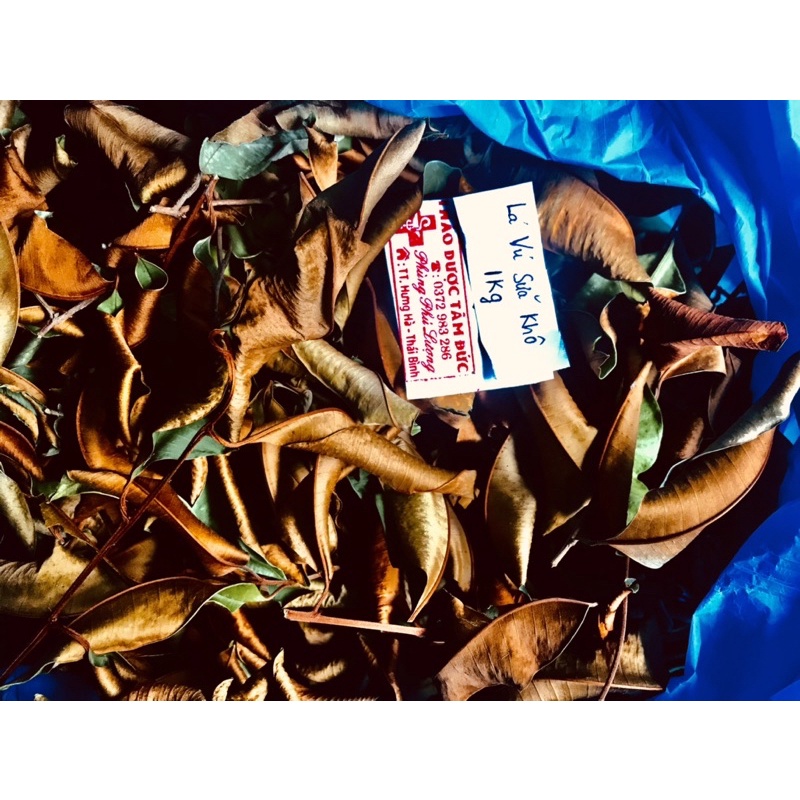 1kg lá vú sữa khô