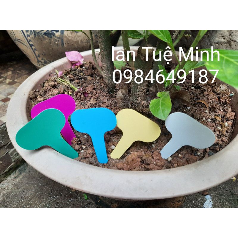 Set 10 Thẻ Cắm Ghi Tên Cây, Thẻ Ghi Tên Lan - Đánh Dấu Thông Tin Cây - Loại Nhựa Mềm