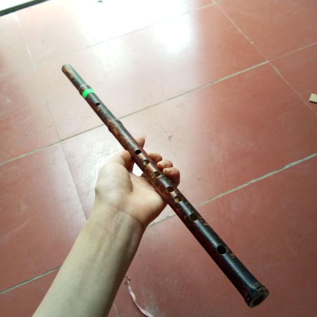 Sáo trúc