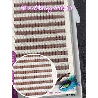Lông Mi 2d-3d khay, lông mi nối fan sẵn volume
