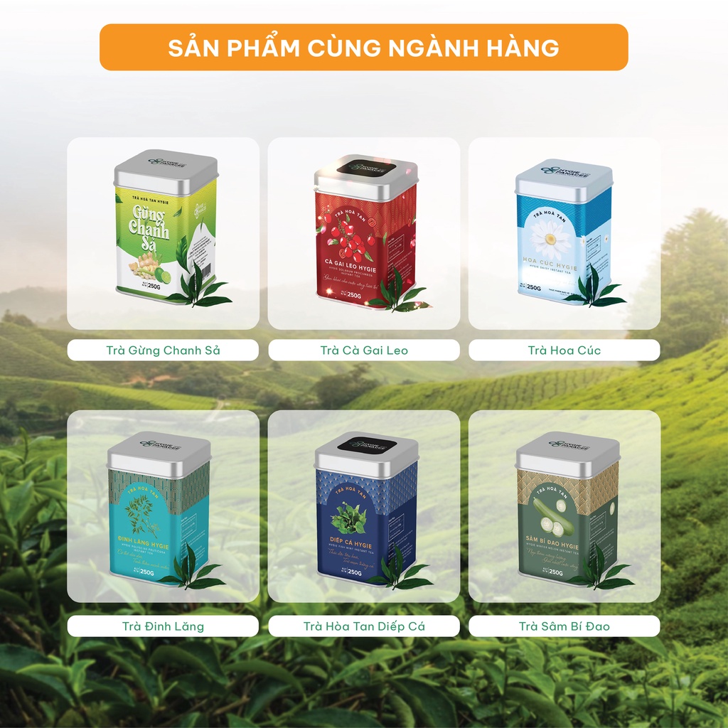 Trà Hygie&Panacee Bách Thảo Việt Trà mix 12 loại, hộp 24 Gói x 5g tốt cho sức khỏe