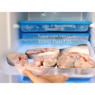 Hộp Trữ Đông Freezermate 1.2L Thấp