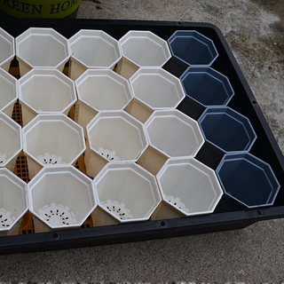 High Quality Plastic Mini Octagon Flower Pot