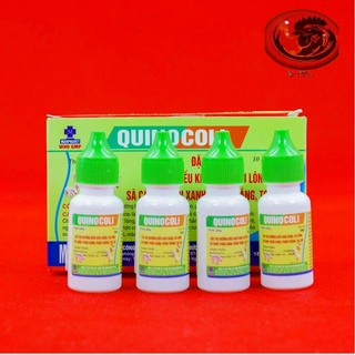 COMBO 4 LỌ QUINOCOLI đặc trị phân xanh, phân trắng cho gà đá