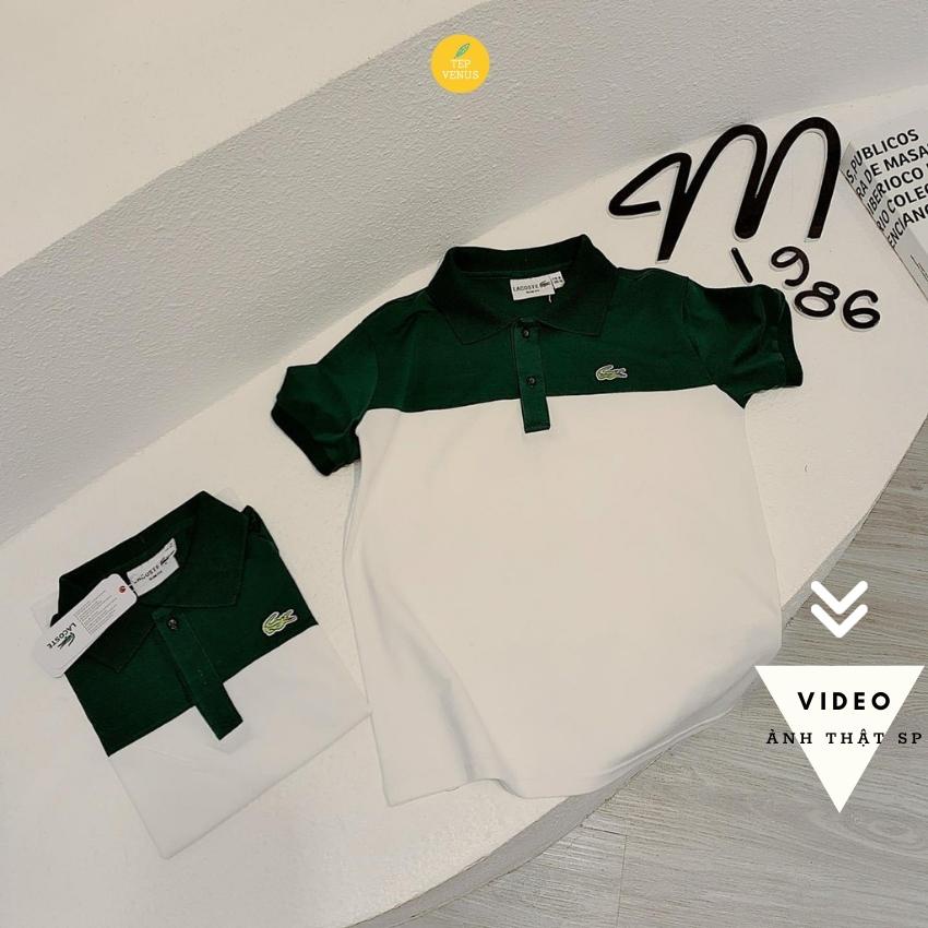 ✨BÁN SỈ✨Áo PoLo Nữ Vai Xanh Cá Sấu