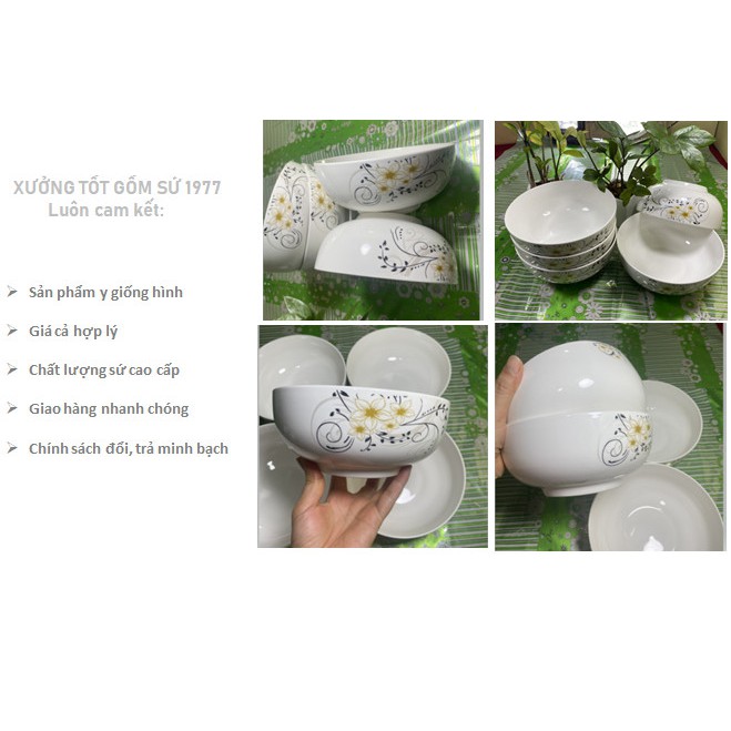 COMBO 5 Tô sứ bầu 025 cao cấp Bát Bảo hoa mai vàng đk 20cm,  bền – đẹp – rẻ, Since_1977