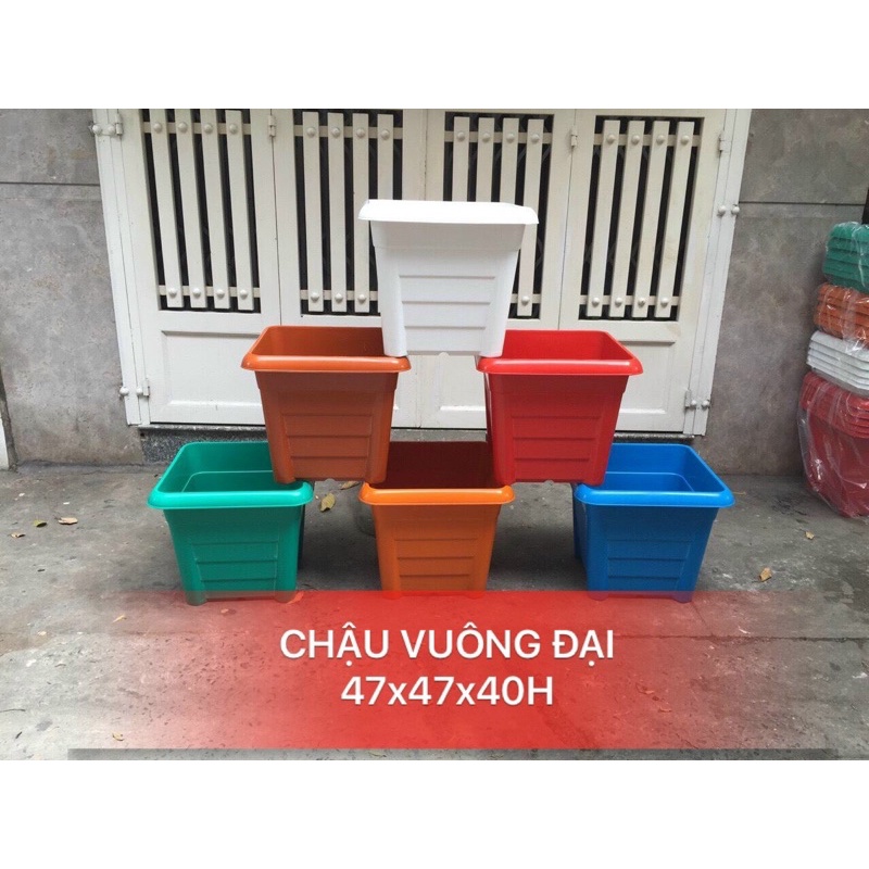 Chậu Nhựa Vuông Lớn, Dày Bền Đẹp Trồng Rau - Trồng Cây - Hoa Kiểng (47cmx47cmxH39cm) - Giá Siêu Rẻ