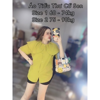 Áo Tiểu Thư Bigsize 60 - 90kg