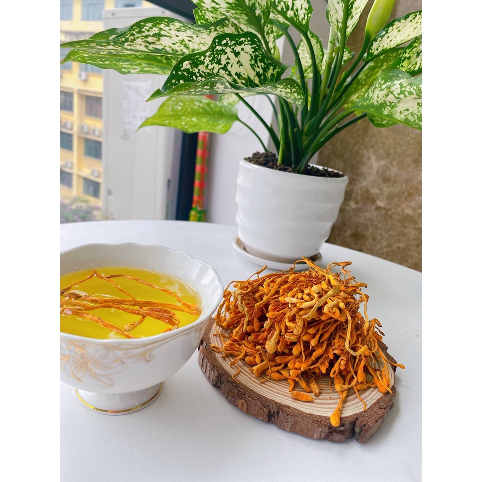 Đông trùng hạ thảo thương hiệu Mộc Hương Sơn loại sấy khô 50gr