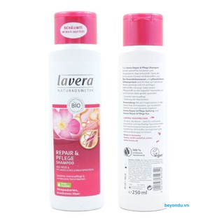 Dầu gội khôi phục tóc Lavera
