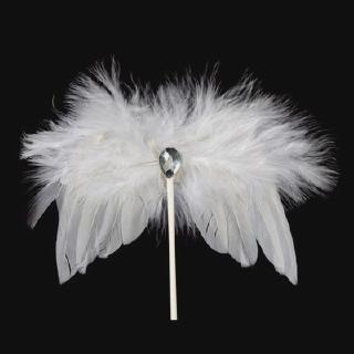 Que cắm cánh thiên thần ngọc trắng