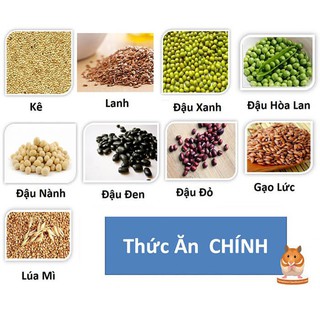 THỨC ĂN HAMSTER(T)