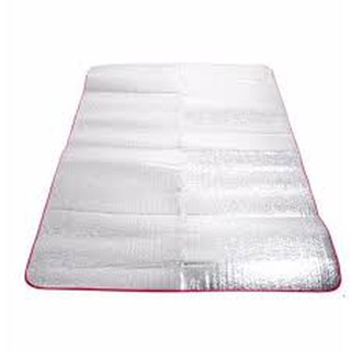 Chiếu ngủ văn phòng loại lớn ( dày 2mm)