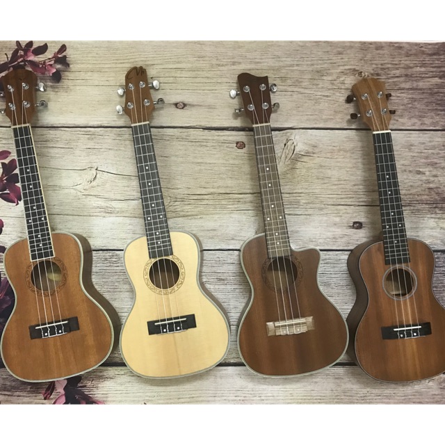 (ĐÀN SỊN) ĐÀN UKULELE CONCERT TỔNG HỢP CÁC MẪU ĐẸP