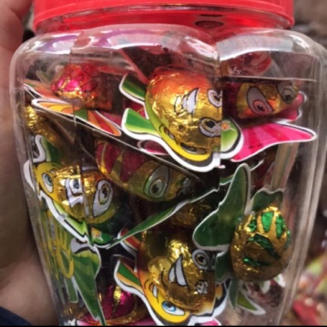 Socola các loại