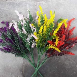 1 cành điểm chồn 7 nhánh