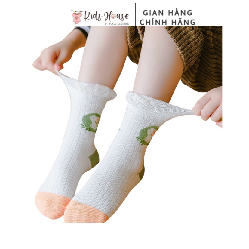 Bộ 5 đôi tất, vớ cotton Hàn dễ thương cho bé 0-8 tuổi