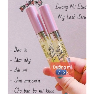 Dưỡng mi của Hàn My lash serum