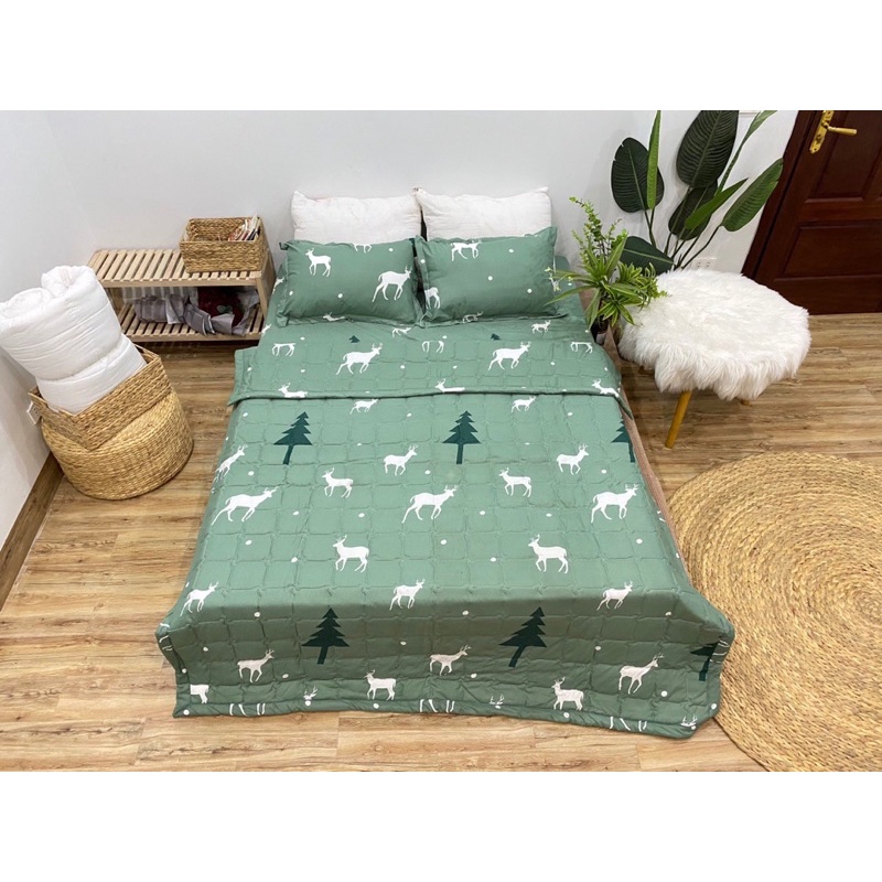 Ga gối poly 3 món hàng đẹp, bộ ga chun kèm 2 vỏ gối được chọn mẫu