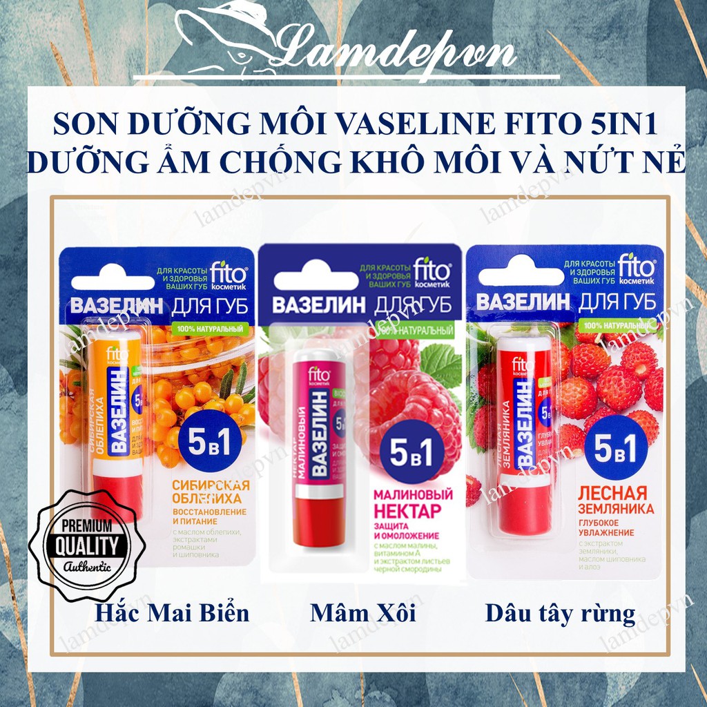 Son Dưỡng Môi Vaseline Thảo Mộc