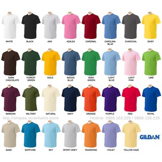 [ALBUM 4] Áo thun Gildan Premium Cotton