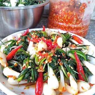 Kiệu lá cuốn ngâm mắm ớt -Kiệu cuốn đặc sản ở Vĩnh Linh - Quảng Trị