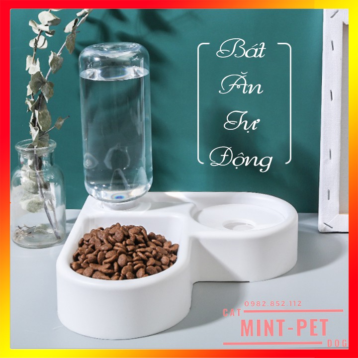 Bát Ăn Uống Tự Động Kèm Bình Nước 500 Ml cho Chó Mèo #MintPet