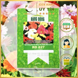 Hạt Giống Hoa Cúc Đồng Tiền Nhiều Màu Rado 827 (10 Hạt)