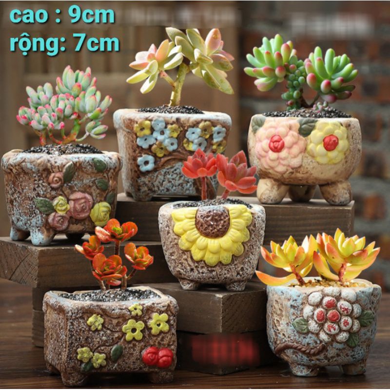 Chậu trồng cây sz vừa set 6chiếc Mã: HHD