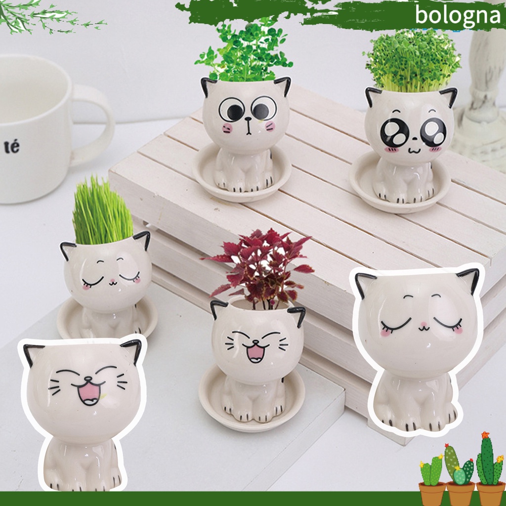 Chậu Trồng Cây Chống Nứt Hình Chú Mèo Mini Dễ Thương