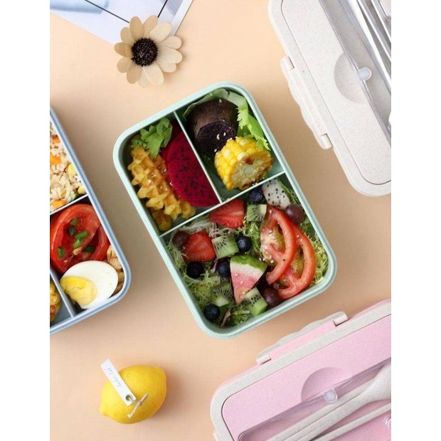 Hộp Đựng Thức Ăn Trưa Có Nắp Đậy Và Hộp Đựng Thức Ăn JP6