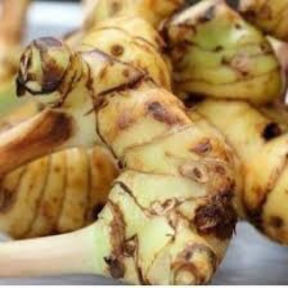 Củ Riềng tươi